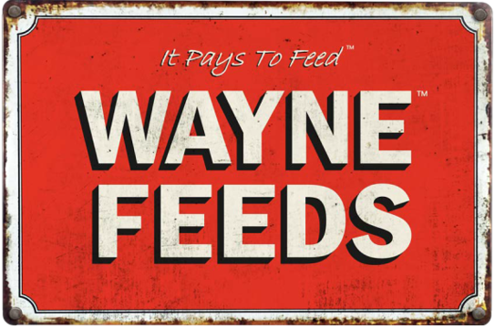 Wayne Feeds Dog and Cat food